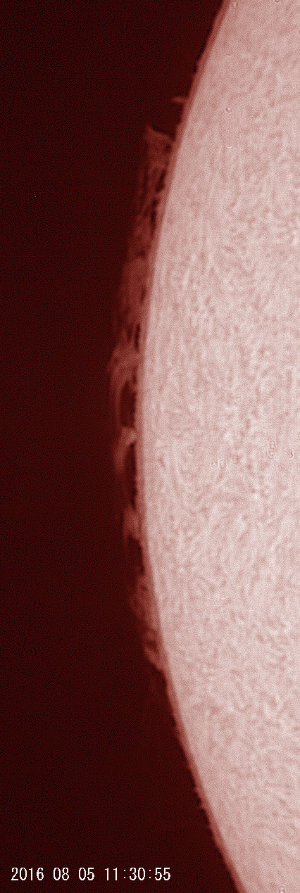 8月5日の太陽_e0174091_13251405.jpg