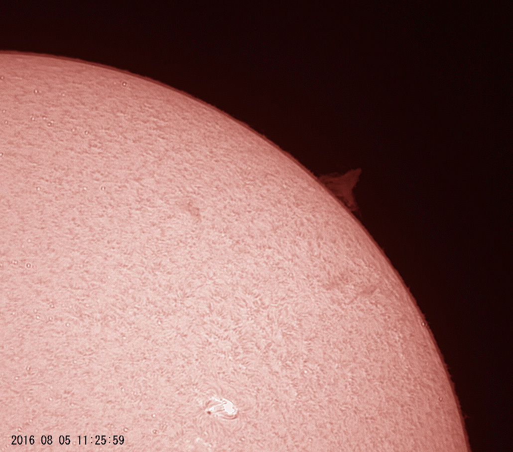 8月5日の太陽_e0174091_13251870.jpg