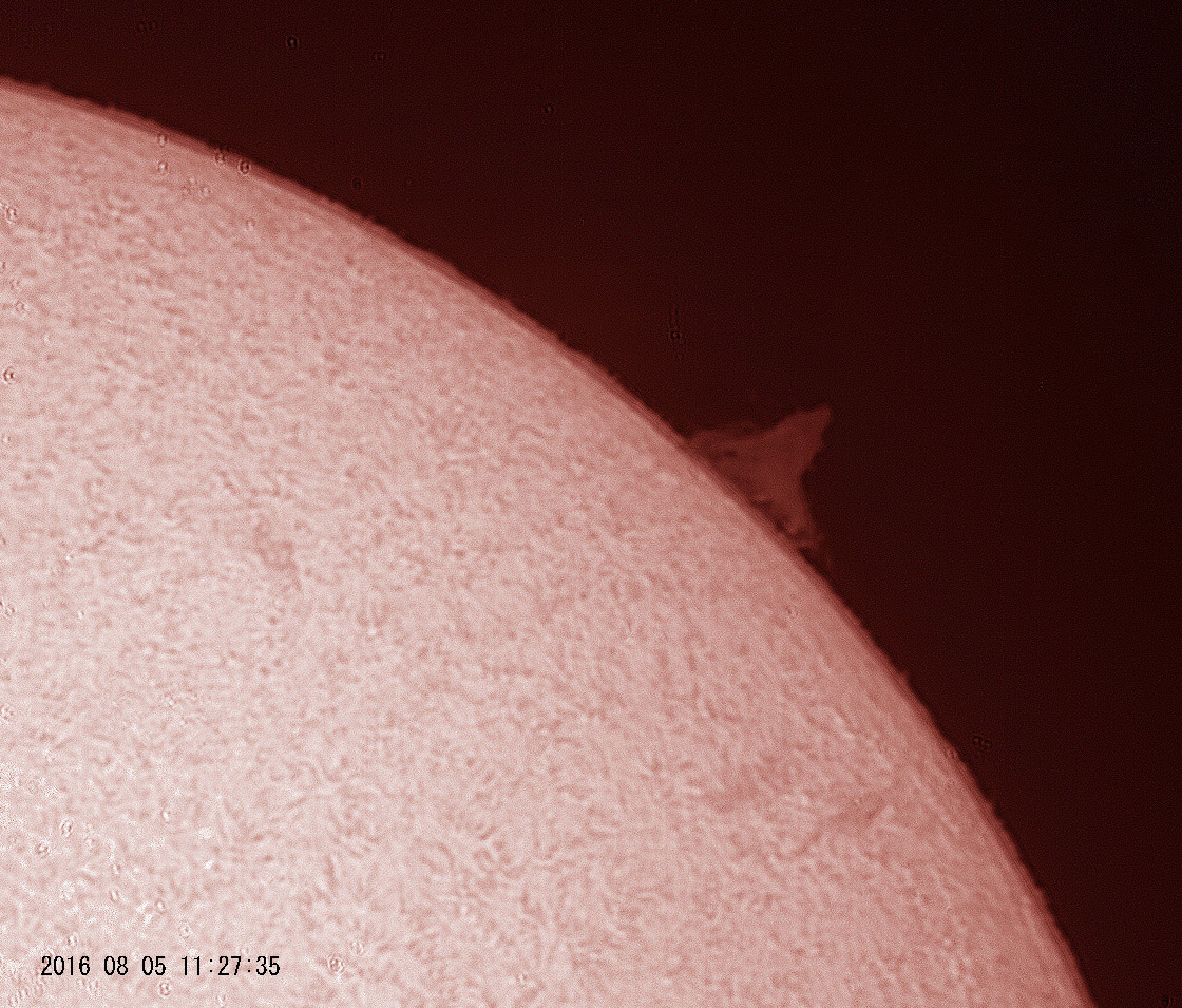 8月5日の太陽_e0174091_13285780.jpg