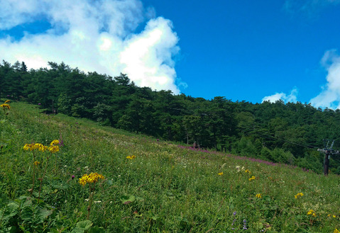 b0078795_10103740.jpg