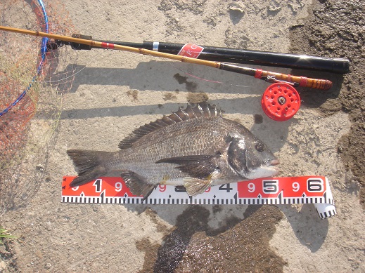 e0147297_23384742.jpg