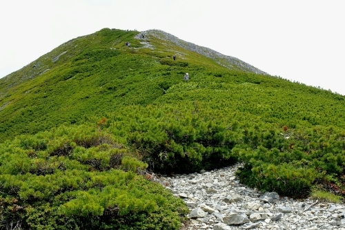 e0304001_11054945.jpg