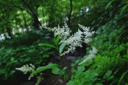 e0304001_11055228.jpg