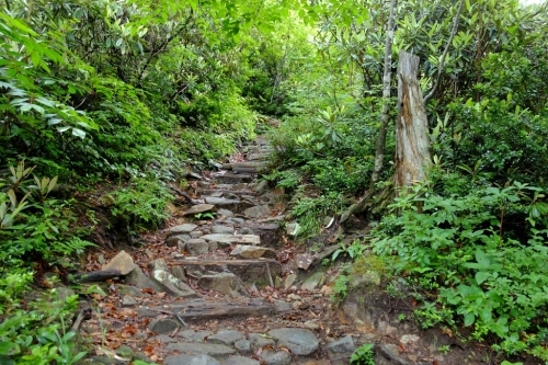 e0304001_11060023.jpg