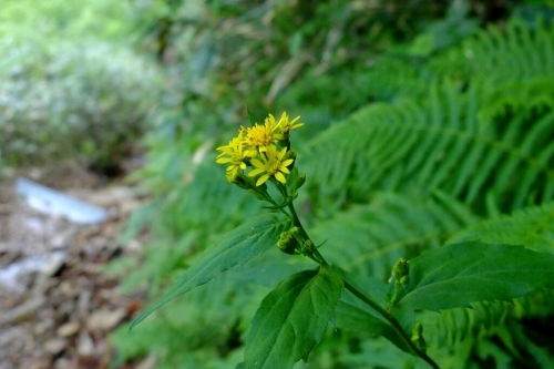 e0304001_11060289.jpg