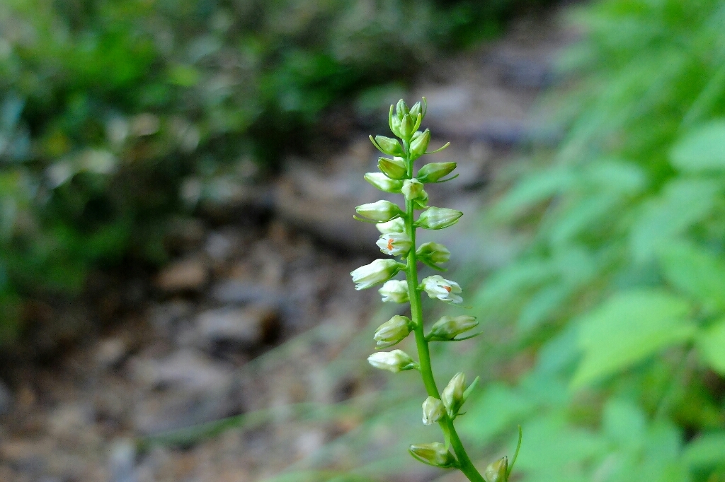 e0304001_11061533.jpg