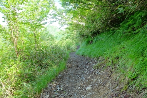 e0304001_11142740.jpg