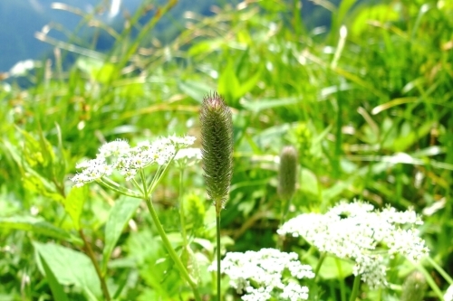 e0304001_11145076.jpg