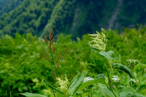 e0304001_11465350.jpg