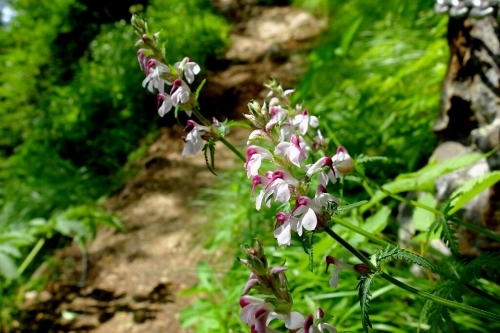 e0304001_12005487.jpg