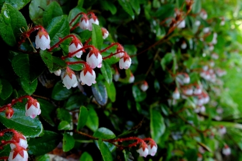 e0304001_12010417.jpg