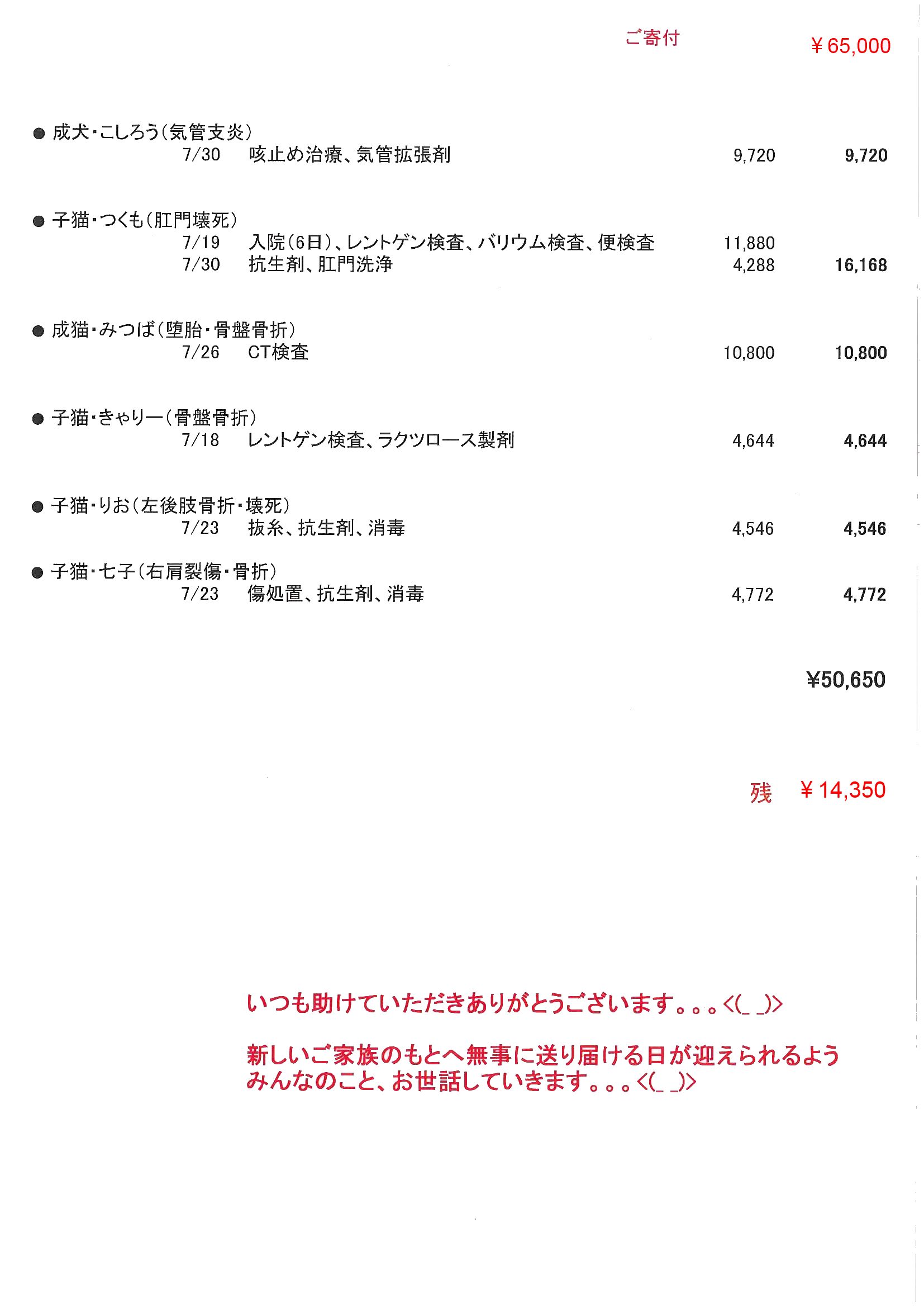 ご寄付へのお礼と医療費支出のご報告です_f0242002_8594835.jpg