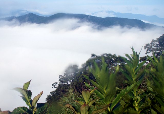 a0345007_2083914.jpg