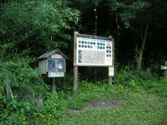 f0196109_14065916.jpg