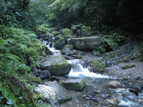 f0196109_14071724.jpg