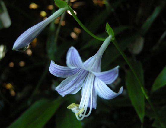 f0196109_14100542.jpg