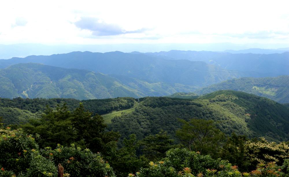 f0212511_16455931.jpg
