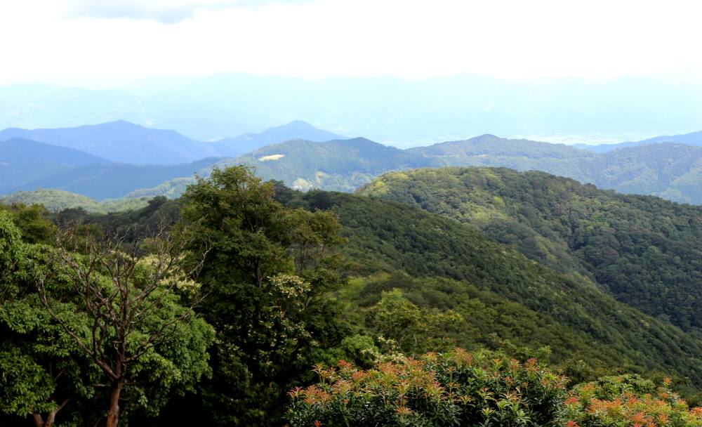 f0212511_1646550.jpg