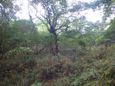 f0193521_18403754.jpg