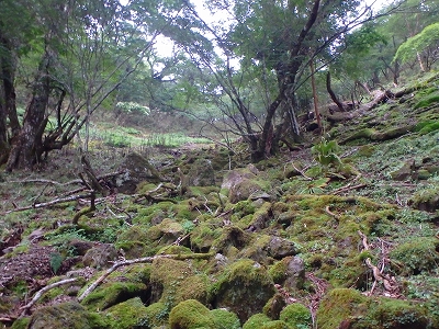 f0193521_18423375.jpg