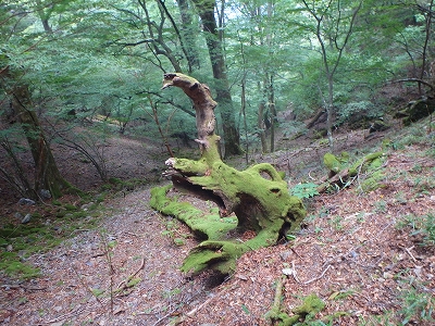 f0193521_18433530.jpg