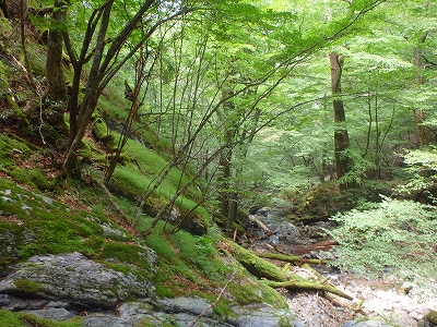 f0193521_18485718.jpg