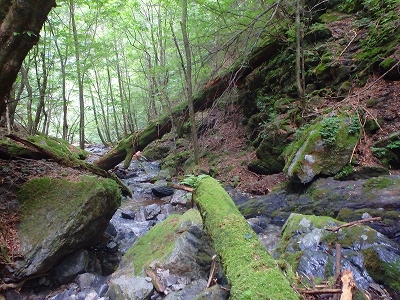 f0193521_18515613.jpg