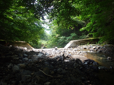 f0193521_1854187.jpg