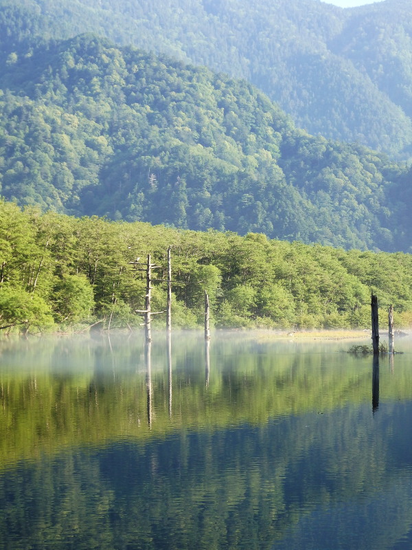 上高地の山野草①_f0330321_1750252.jpg