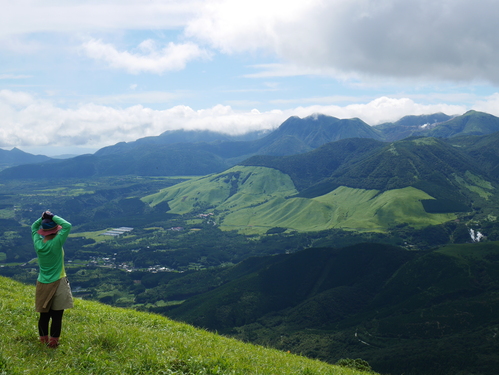 花がたくさんの涌蓋山　＜はげの湯～涌蓋山：ピストン＞_a0220528_23302929.jpg