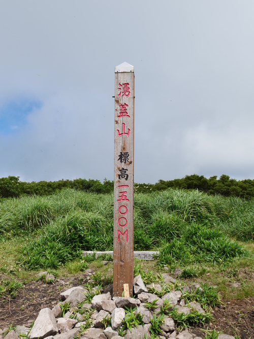 花がたくさんの涌蓋山　＜はげの湯～涌蓋山：ピストン＞_a0220528_23305229.jpg