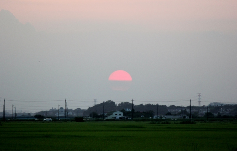 a0230831_21273481.jpg