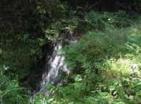 c0215031_23405752.jpeg