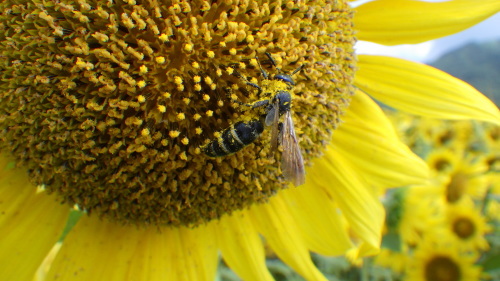 c0337631_01594590.jpg