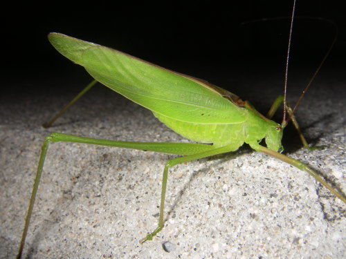 c0337631_02270752.jpg