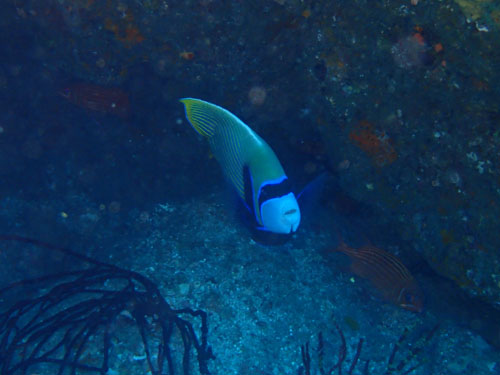 d0164831_16424717.jpg