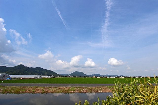 a0242438_2051413.jpg