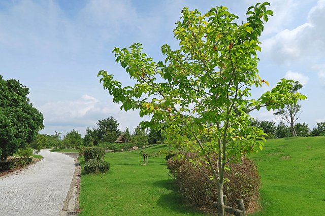 a0242438_2092032.jpg