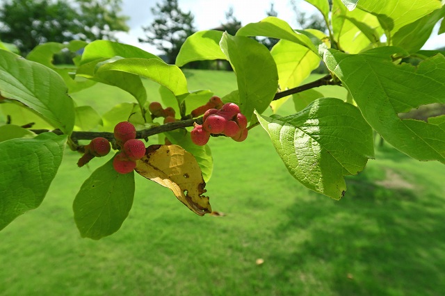 a0242438_2092775.jpg