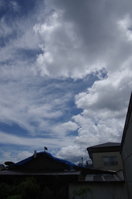 c0281841_1651113.jpg