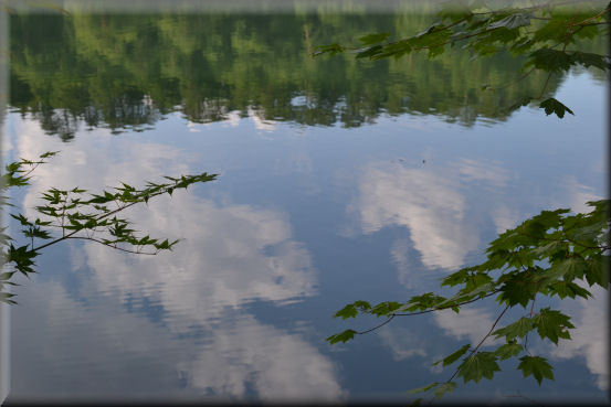 f0363141_16523455.jpg