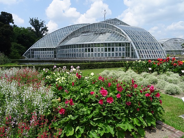 京都府立植物園_b0299042_2393121.jpg