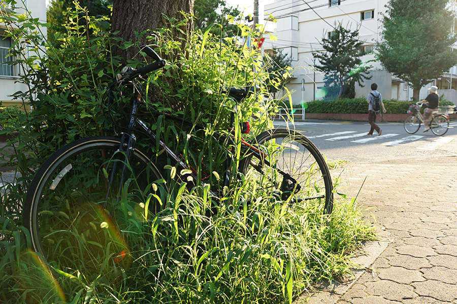 【21st Century Snapshot Man】2016 7/30　　＜Plastic City＞ 　西東京・ひばりが丘_c0035245_01511828.jpg