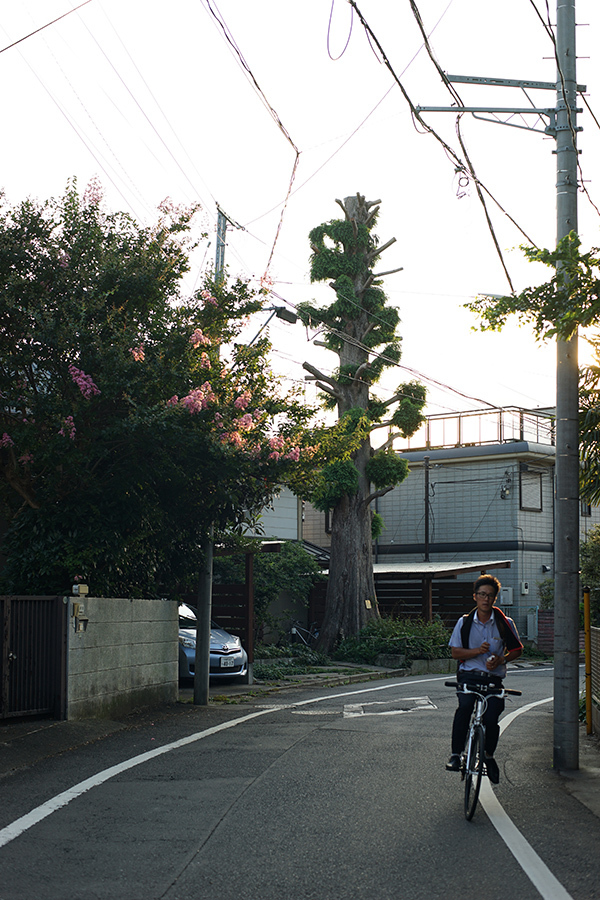 【21st Century Snapshot Man】2016 7/30　　＜Plastic City＞ 　西東京・ひばりが丘_c0035245_02081803.jpg