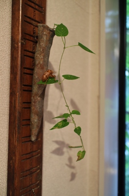 陶人展 開催中です_a0279848_1851834.jpg