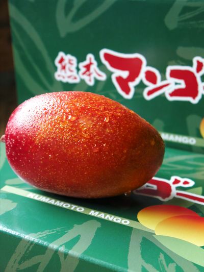 完熟アップルマンゴー 平成28年度販売中止のご案内とお詫び_a0254656_15571488.jpg