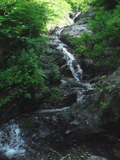 c0294658_21555688.jpg