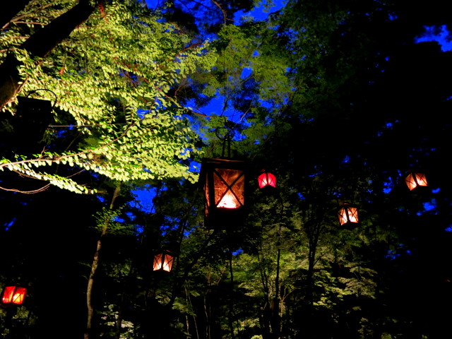 夕涼みにピッタリ ☆ サマーキャンドルナイト・2016_f0236260_17421749.jpg