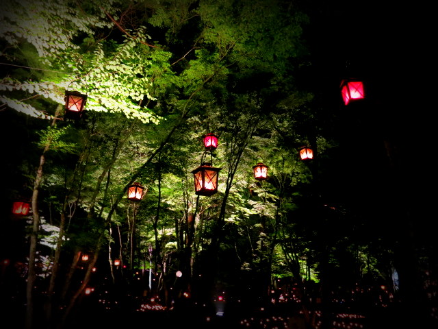 夕涼みにピッタリ ☆ サマーキャンドルナイト・2016_f0236260_1750736.jpg