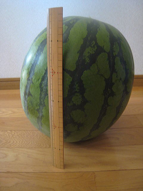 b0189573_858249.jpg